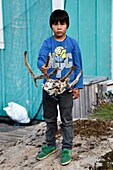 Greenland, west coast, Baffin Bay, Upernavik, young Inuit man showing a reindeer head hunted by his father