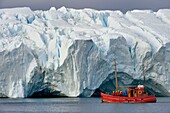 Greenland, west coast, Disko Bay, Ilulissat, icefjord listed as World heritage by UNESCO that is the mouth of the Sermeq Kujalleq Glacier, old fishing boat for iceberg discovery and whale watching
