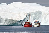 Grönland, Westküste, Diskobucht, Ilulissat, von der UNESCO zum Weltnaturerbe erklärter Eisfjord, der die Mündung des Sermeq-Kujalleq-Gletschers bildet, altes Fischerboot zur Eisbergsuche und Walbeobachtung, Buckelwal (Megaptera novaeangliae)