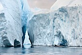 Grönland, Westküste, Diskobucht, Ilulissat, von der UNESCO zum Weltnaturerbe erklärter Eisfjord, der die Mündung des Sermeq-Kujalleq-Gletschers ist, Buckelwal (Megaptera novaeangliae)