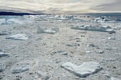 Grönland, Westküste, Diskobucht, Ilulissat, der von der UNESCO zum Weltnaturerbe erklärte Eisfjord, der die Mündung des Sermeq-Kujalleq-Gletschers (Jakobshavn-Gletscher) ist (Luftaufnahme)