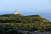 Frankreich, Corse du Sud, Freto, Bonifacio, Leuchtturm und Cap de Pertusato