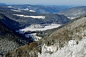 Frankreich, Vogesen, Hochvogesen, von der Route des Cretes, zum Hohneck, Blick über das Tal der Seen, Longemer See