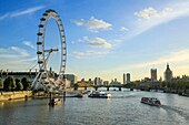 Vereinigtes Königreich, London, von der Hungerford Bridge über die Themse, London Eye, London Eye, Parlament und Big Ben