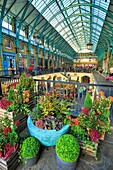 Vereinigtes Königreich, London, Stadtteil Covent Garden, der ehemalige Obst- und Gemüsemarkt am zentralen Platz, heute ein Geschäfts- und Touristenzentrum