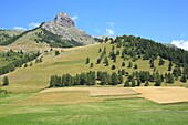 France, Hautes Alpes, Haut Champsaur, Ancelle, cereal fields