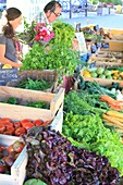 France, Hautes Alpes, Champsaur, Saint Jean Saint Nicolas, Pont du Fosse hamlet, weekly market of producers, market gardeners