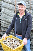 France, Ille et Vilaine, Emerald Coast, Cancale, Bertrand Racinne (oyster farmer) in the middle of its oysters