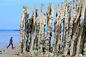 Frankreich, Ille et Vilaine, Smaragdküste, Saint Malo, Strand von Sillon mit seinen hölzernen Wellenbrechern