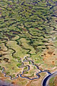 France, Gironde, Bassin d'Arcachon at low tide seen from the sky, flying swans (aerial view)