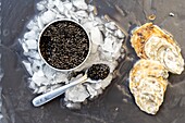France, Gironde, Bassin d'Arcachon, caviar made on the Basin