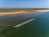 France, Gironde, Bassin d'Arcachon, La Teste de Buch, Ile aux Oiseaux, limed tiles on oyster beds (aerial view)