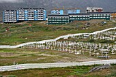 Grönland, westliche Zentralregion, Sisimiut (ehemals Holsteinsborg), der Friedhof, die Särge werden auf die Oberfläche gestellt und dann mit Steinen oder Zement abgedeckt, der Boden kann nicht umgegraben werden, die Gräber werden dann mit Kunstblumen geschmückt, im Hintergrund Sozialwohnungen