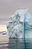 Grönland, Nordwestküste, Baffinsee, Inglefield Fjord Richtung Qaanaaq, Eisberg und ein PolarCirkel Erkundungsboot (Zodiac) des Hurtigruten-Kreuzfahrtschiffes MS Fram