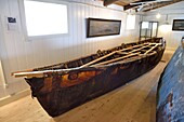Greenland, west coast, Baffin Bay, Upernavik, the museum, traditional Umiak of the first part of the 20th century, boats made from a driftwood or whalebone frame and walrus or Bearded seal skins
