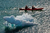 Grönland, Westküste, Diskobucht, Quervainbucht, Kajak fährt zwischen Eisbergen hindurch
