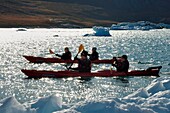 Grönland, Westküste, Diskobucht, Quervainbucht, Kajaks fahren zwischen Eisbergen hindurch