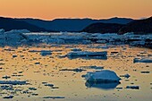 Greenland, west coast, Disko Bay, Icebergs in Quervain Bay at dusk