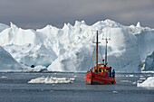 Grönland, Westküste, Diskobucht, Ilulissat, von der UNESCO zum Weltnaturerbe erklärter Eisfjord, der die Mündung des Sermeq-Kujalleq-Gletschers bildet, altes Fischerboot zur Eisbergsuche und Walbeobachtung