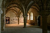 France, Manche, the Mont-Saint-Michel, room of the walk of the monks in the abbey