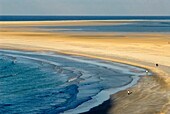 Jemen, Gouvernement Sokotra, Insel Sokotra, von der UNESCO zum Weltkulturerbe erklärt, Strand der Lagune von Qalansiyah