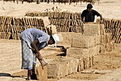 Jemen, Gouvernement Hadhramaut, Tarim, Herstellung von Lehmziegeln für den Bau