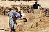 Yemen, Hadhramaut Governorate, Tarim, making mud bricks for construction