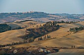 Italy, Southern Tuscany, landscape of hill towards Pienza