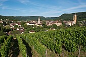 Frankreich, Jura, Arbois, die Stadt ist von Weinbergen umgeben, die unter anderem den verrückten Wein von Henri Maire produzieren