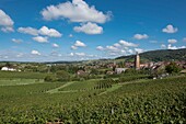 France, Jura, Arbois, general view of the village in the middle of the vineyards