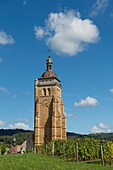 Frankreich, Jura, Arbois, der Glockenturm der Kirche Saint Just überragt mit seinen 65 m den Weinberg