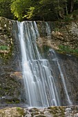 France, Jura, Frasnois, the waterfall of the range on the torrent of the Herisson