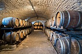 France, Jura, Chateau Chalon, barrels in the vault of the producer of yellow wine Berthet Bondet