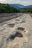 Frankreich, Ain, die Abdrücke der versteinerten Dinosaurier auf dem Gelände der Plagne bei Bellegarde und Saint Germain de Joux