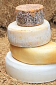 Spain, Canary Islands, Tenerife, province of Santa Cruz de Tenerife, Adeje, Montesdeoca cheese dairy founded in 1984, various goat cheeses