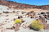 Spanien, Kanarische Inseln, Teneriffa, Provinz Santa Cruz de Tenerife, Teide-Nationalpark (von der UNESCO zum Weltkulturerbe erklärt), Alter Lavastrom