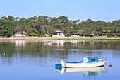 France, Landes, Lake Hossegor, Soorts Hossegor, boats on the lake