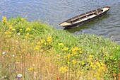 Frankreich, Indre et Loire, Loiretal, von der UNESCO zum Welterbe erklärt, Brehemont, Boot auf der Loire