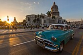 Kuba, Provinz Ciudad de la Habana, Havanna, Stadtteil Centro Habana, amerikanisches Auto auf dem Paseo del Prado, auch Paseo José Marti genannt, der das Capitol mit dem Malecon verbindet