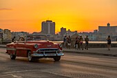 Kuba, Havanna, Stadtteil Habana Vieja, von der UNESCO zum Weltkulturerbe erklärt, altes amerikanisches Auto auf dem Malecon mit Hintergrund Vedado
