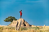 Kenia, Masai Mara Wildreservat, Masai-Mann schaut von einem Termitenhügel auf die Ebene