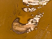 Kenia, Masai Mara Wildreservat, Mara-Fluss aus einer Drohne, Flusspferd (Hippopotamus amphibius)