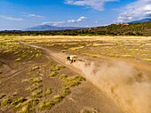 Kenia, Magadi-See, das Fahrzeug von Michel Denis Huot (Luftaufnahme)