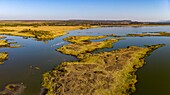 Kenia, Soysambu-Schutzgebiet, Elmenteita-See aus einer Drohne, Kleiner Flamingo (Phoeniconaias minor)