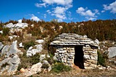 France, Lozere, Mas Saint Chely, Causse de Mejean, Buron to Mas Saint Chely