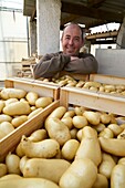 Frankreich, Pyrenees Orientales, Perpignan, SCEA Llyboutry, Gemüsegärtner, Porträt des Kartoffelerzeugers Bea von Llyboutry Jerôme