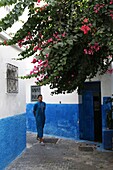 Morocco, Tangier Tetouan region, Tangier, young Tangierois in a alley of the Kasbah crumbling under a bougainvillea
