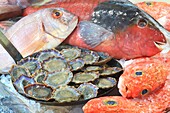 Portugal, Madeira Island, Camara de Lobos, Vila Do Peixe restaurant, fish of the day and polished with limpets