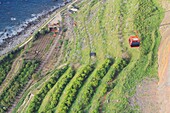 Portugal, Insel Madeira, Faja dos Padres, Weiler am Fuße der Klippe von Quinta Grande, nur mit der Seilbahn erreichbar