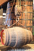 Portugal, Insel Madeira, Funchal, Avenida Arriaga, Madeira Wine Company, Madeira-Fass (natürlicher Süßwein), gelagert im Keller der Marke Blandy's (gegründet 1811)